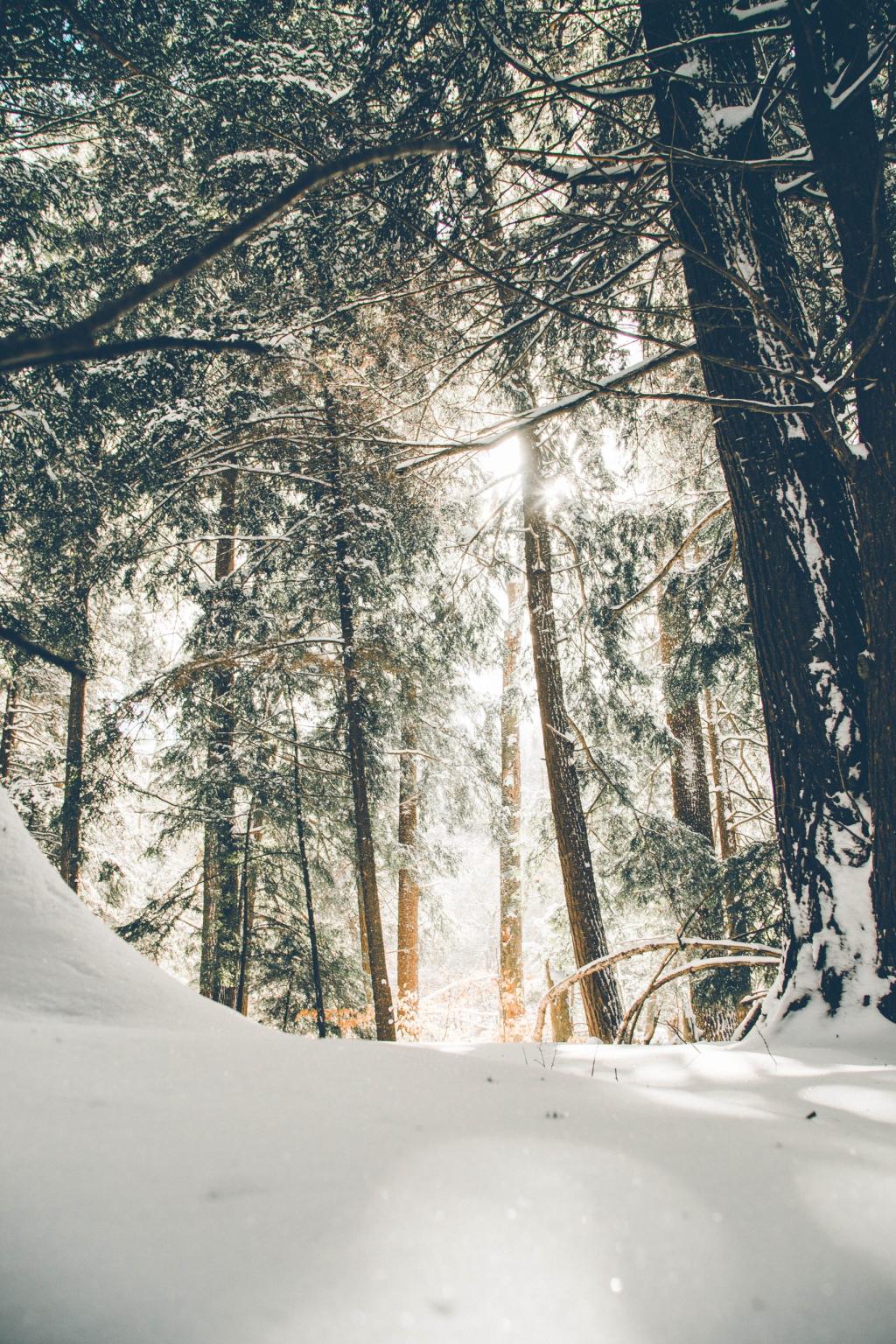 Pourquoi le Passe-Partout reste-t-il indispensable durant l’hiver ?
