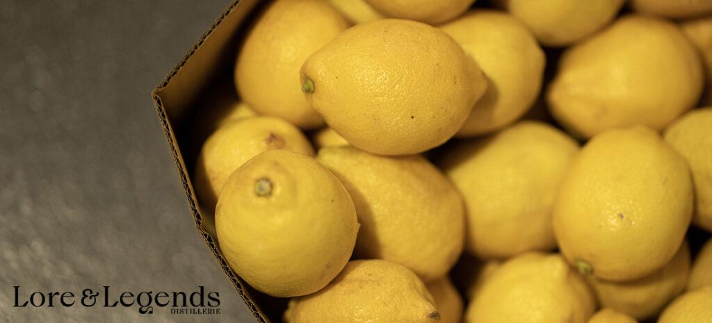 Lore & Legends fait voyager en Italie avec son nouveau Limoncello